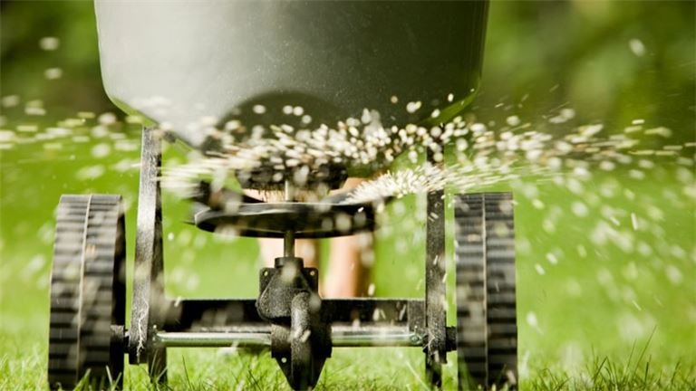 Why Not Landscaping?