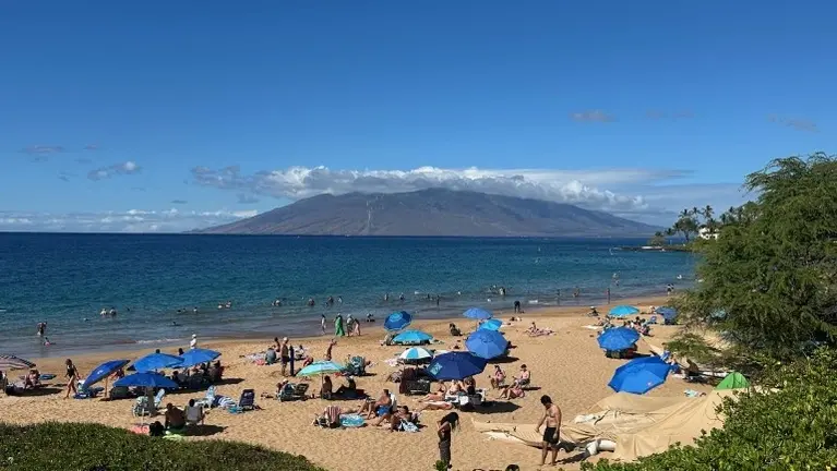 Wailea Beach 1/1/26-35 min away