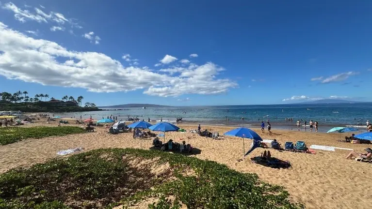 Wailea Beach 1/1/26-35 min away