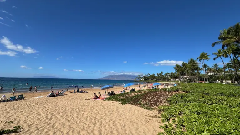 Wailea Beach 30 min away