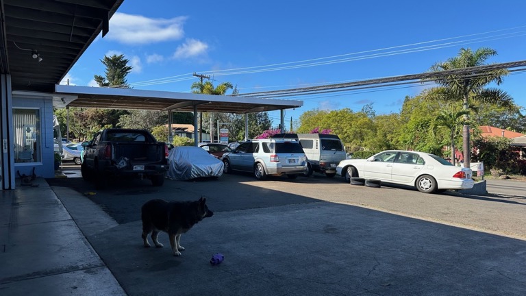 Shop parking lot