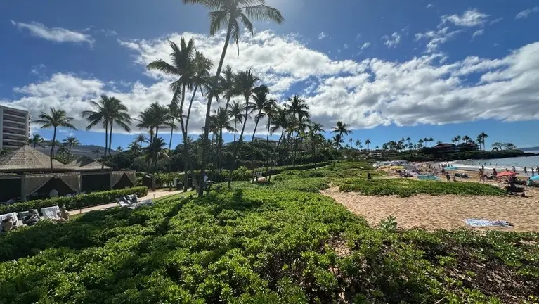 Wailea Beach 1/1/26-35 min away