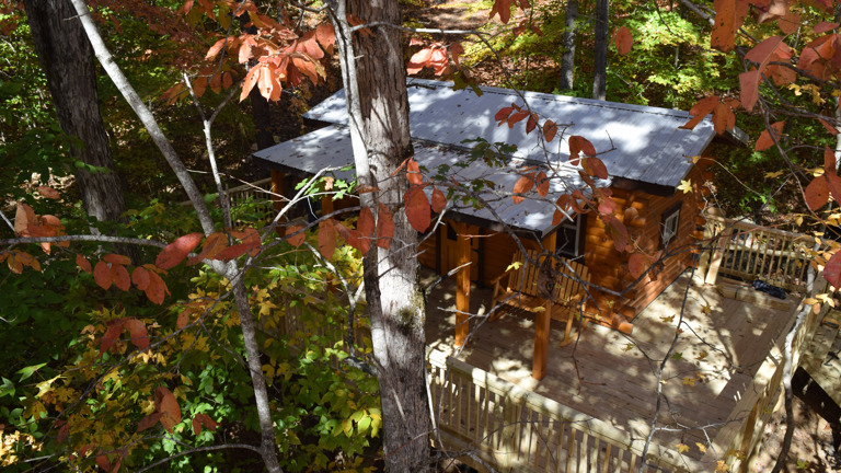 TRG® Mt. Cabin 1