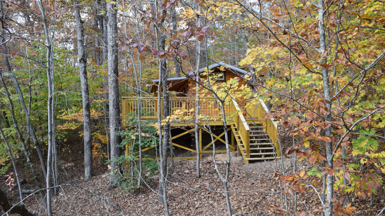 TRG® Mt. Cabin 1