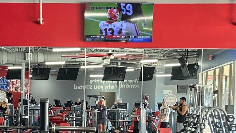 Free Weights