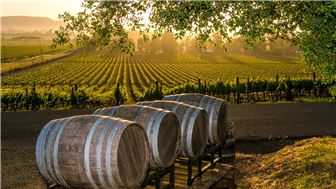 Profitable, Beautiful Winery/Event Center