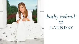 NOT another laundromat Laundry Business Opportunity!