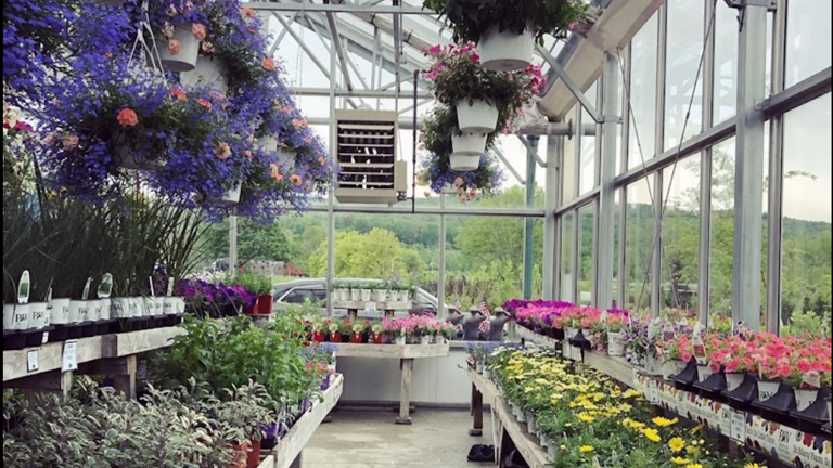 Inside the Glasshouse