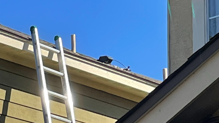 Roof Access