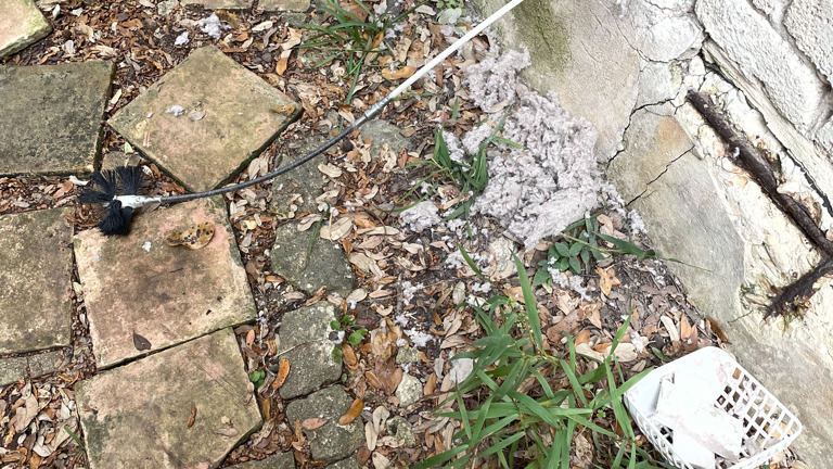 In Ground cleaning