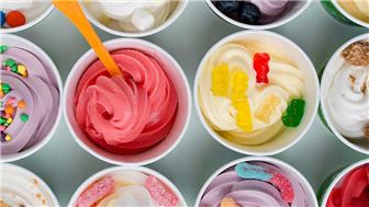 PRICED FOR SALE Frozen Yogurt and Ice Cream Store North Boston