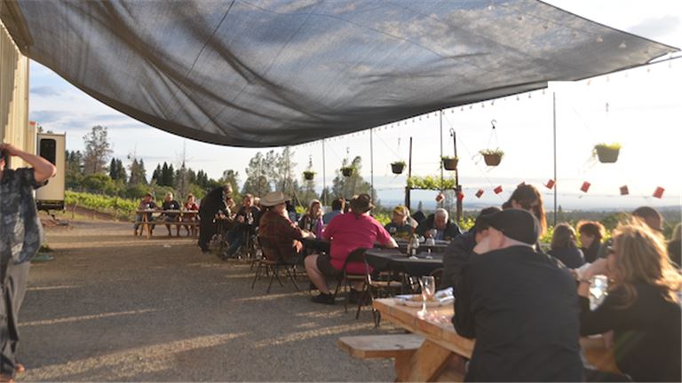 Wine Tasting 