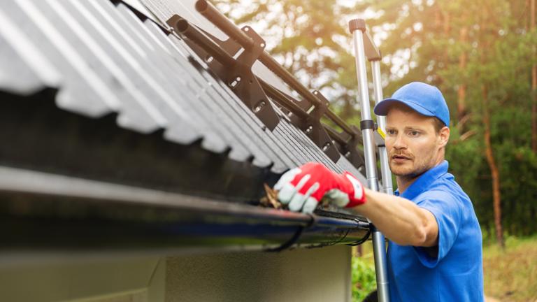 gutter cleaning