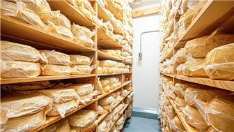 Artisan Cheese Manufacturing Business & Organic Dairy