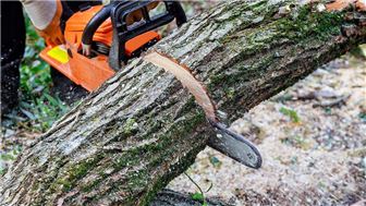 Turn Key Tree Service
