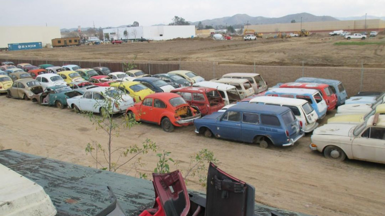 Bugs, Type 3s to restore Bugs, Type 3s to restore
