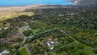 Kona Coffee Farm and Home with Turnkey Roastery Business