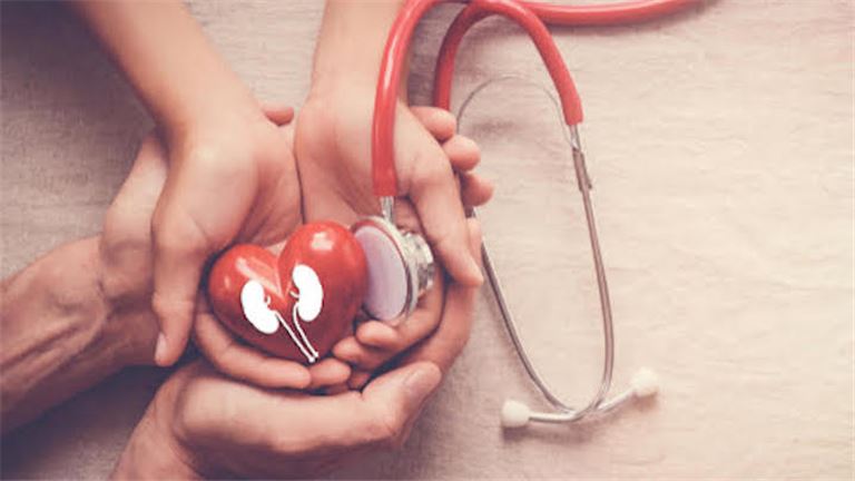 Kidney Health