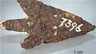 Long-Established Profitable Archaeology Firm