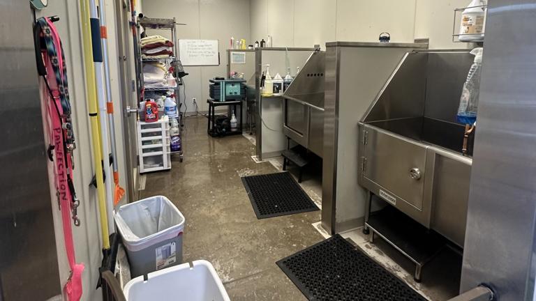 Cleaning Stations