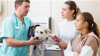 St. Louis Animal Hospital Poised for Scalbilty