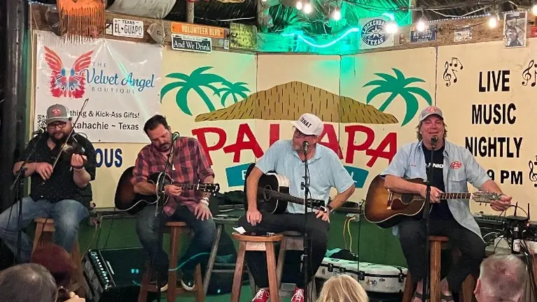 Live Music Concerts, Festivals and Daily local live music Live Music Concerts, Festivals and Daily local live music