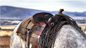 Rodeo Sports Retailer W/ Impressive Geographical Coverage
