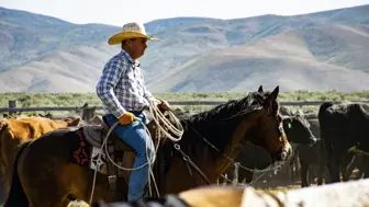 Rodeo Sports Retailer W/ Impressive Geographical Coverage
