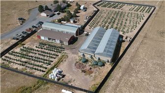 Fully Operational Recreational Tier 2 Cultivation Business & Property