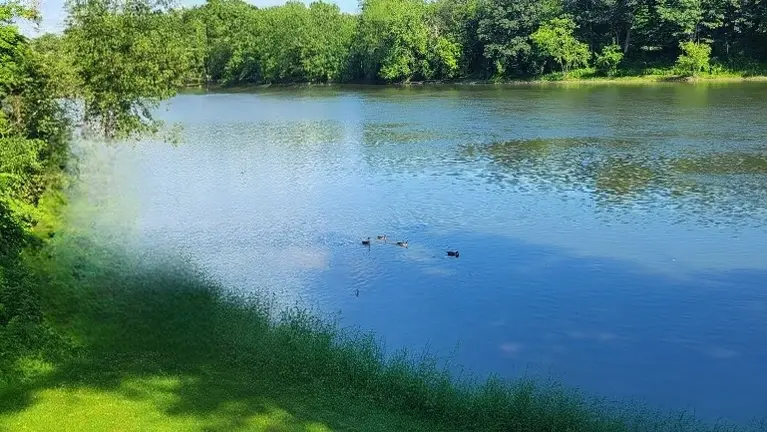 Gorgeous River Views Gorgeous River Views