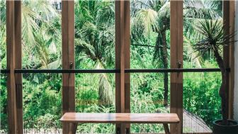 Window Shades