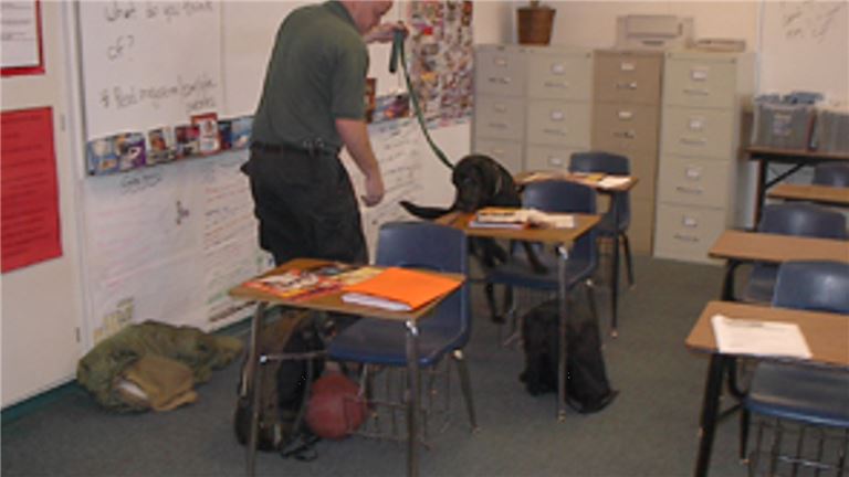 Dog in School