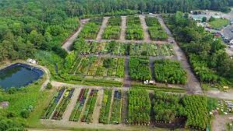 39 yr. old Wholesale Nursery!