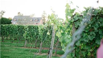 Fraser Valley Winery for Sale