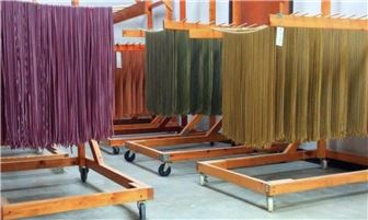 Relocatable Gourmet Pasta Biz w/ Vegan & Gluten-Free Delights
