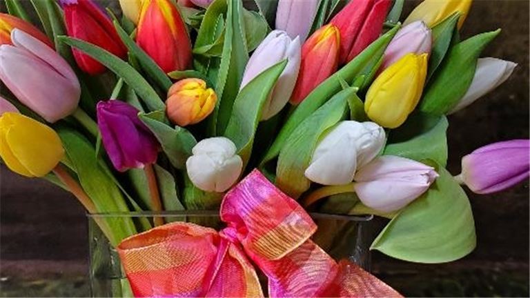 Tulips