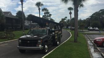 Professional Tree Service