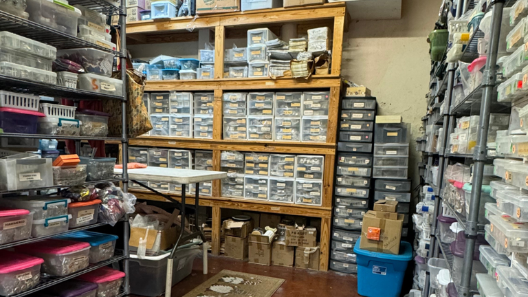 Back Storage