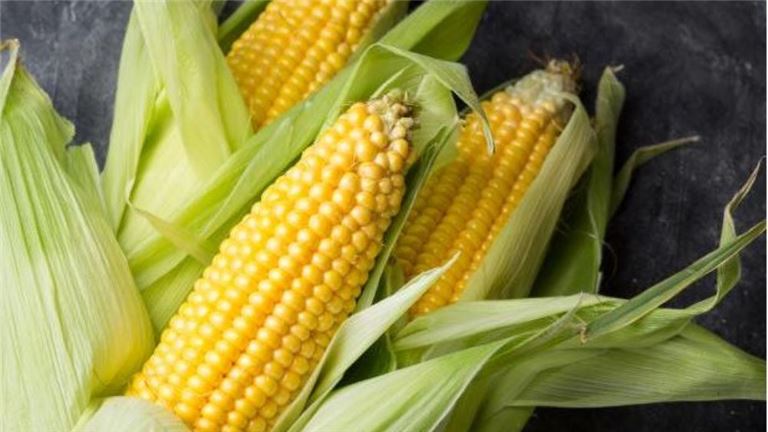 Grain