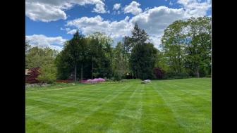 Well Established Landscape Construction & Property Care