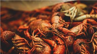 Cajun Bar & Grill For Sale in Metro Dallas, TX!