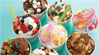 2 Profitable, Turn-Key, Frozen Yogurt Shops in Prime Locations!