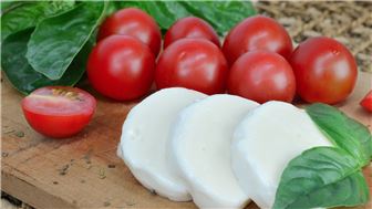 Wholesale Artisan Cheesemaker in Dallas