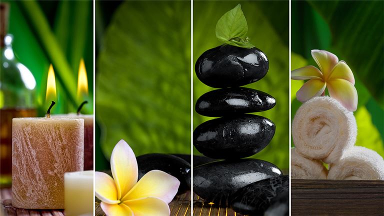 Wellness