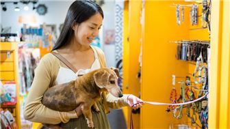 New Turnkey Puppy Store! Seller Financing Available!