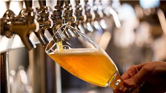 Small Town Bar & Grill For Sale - Cheap Rent, Big Profit Potential