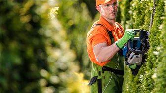 San Diego Based Tree Service Business Now Available!