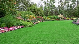 Turnkey Landscaping Route with Established Accts in Close Proximity