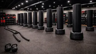 Established Boutique Fitness + Kickboxing Studio with active members