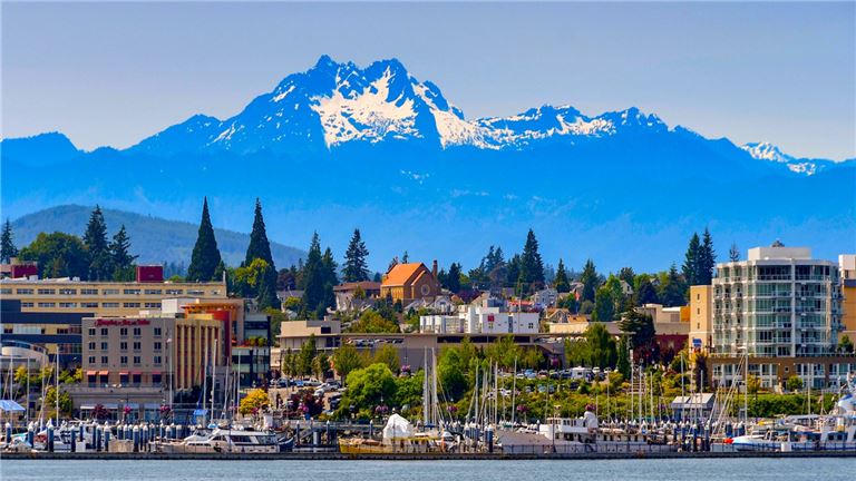 Chiropractic Practice for Sale in Kitsap County, WA